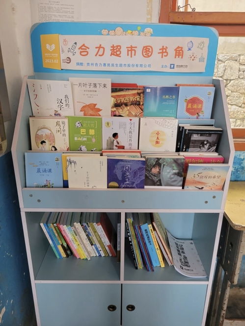 合力 班班有個(gè)圖書角 走進(jìn)大方縣背座小學(xué)